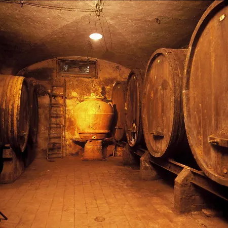 Alojamento de Turismo Rural Castello Di Cafaggio Casetta